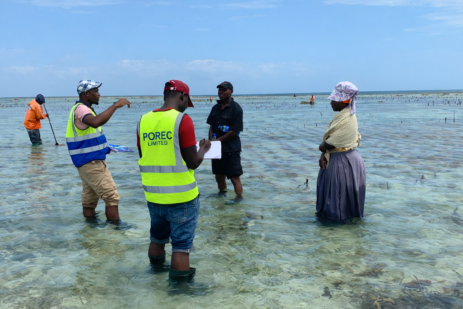 Songo Songo Gas Exploration Project